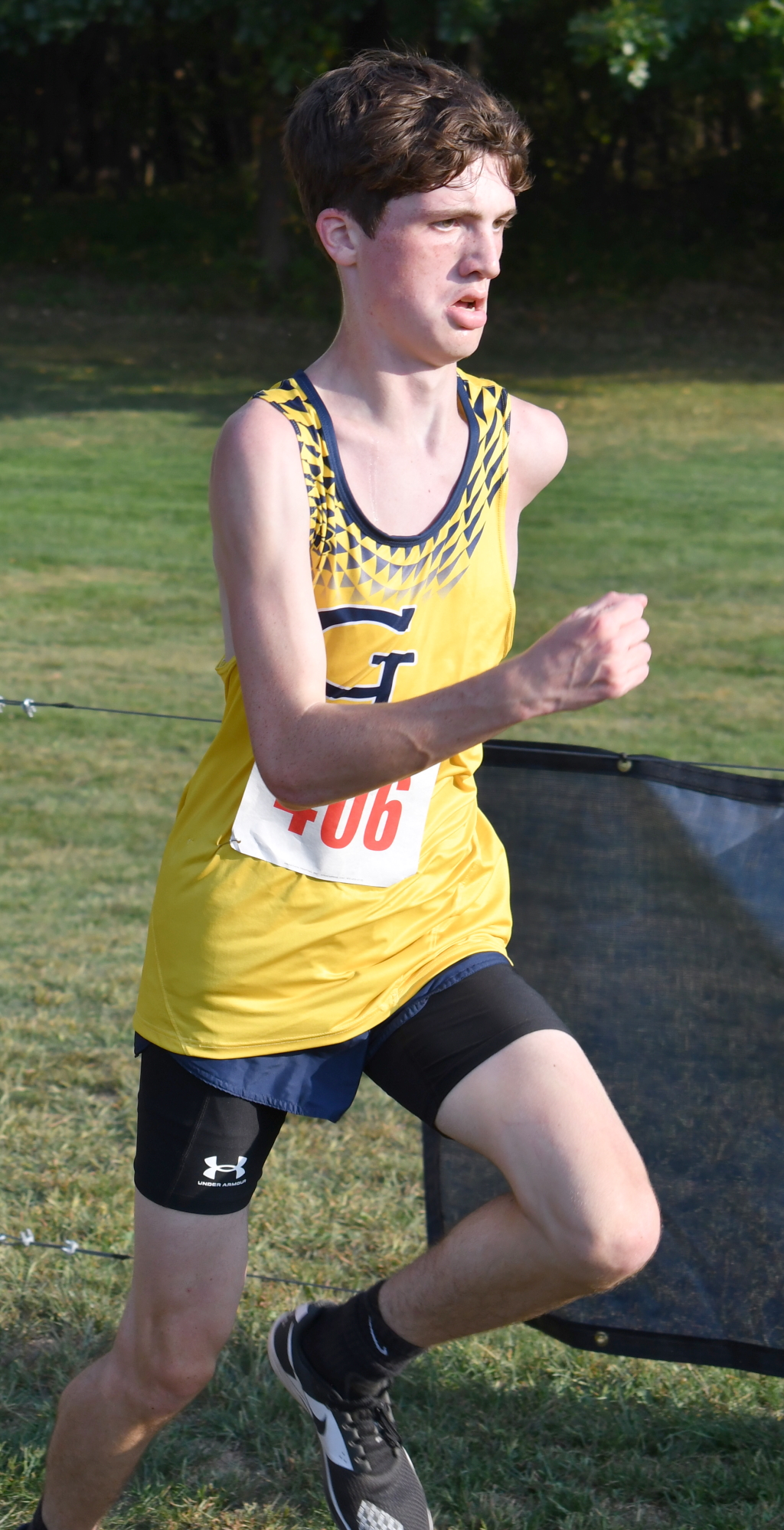 Fisher Lipsey